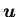 ${\mbox{\boldmath$u$ }}$