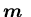 ${\mbox{\boldmath$m$ }}$