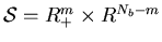${\cal S}=R^m_+\times R^{N_b-m}$
