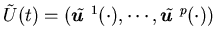 $\tilde U(t)=({\tilde{\mbox{\boldmath$u$ }}}^1(\cdot),\cdots,{\tilde{\mbox{\boldmath$u$ }}}^p (\cdot))$