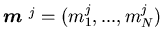 ${\mbox{\boldmath$m$ }}^j=(m_1^j,...,m^j_{N})$