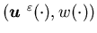 $({\mbox{\boldmath$u$ }}^{\varepsilon}(\cdot),w(\cdot))$