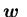${\mbox{\boldmath$w$ }}$