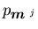 $p_{\mbox{{\footnotesize\boldmath$m$ }}^{j}}$