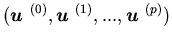 $( {\mbox{\boldmath$u$ }}^{(0)},{\mbox{\boldmath$u$ }}^{(1)},...,{\mbox{\boldmath$u$ }}^{(p)})$